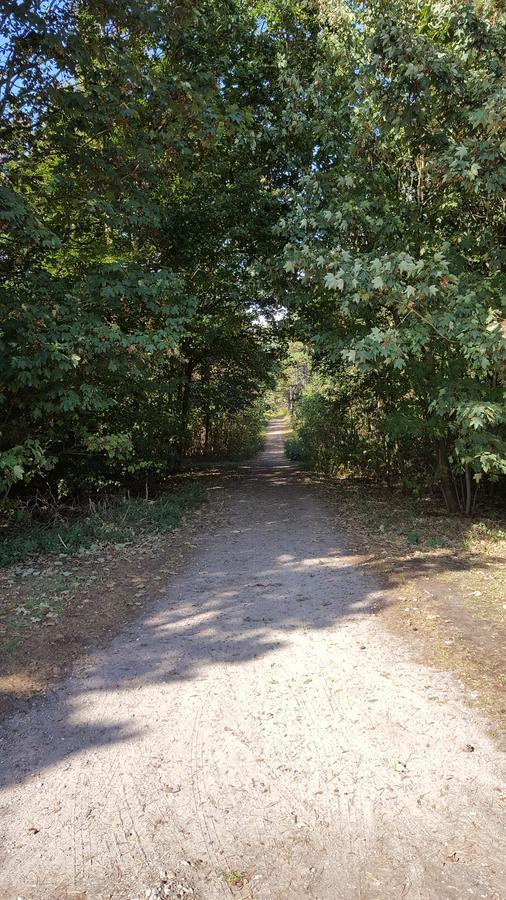 Het Uilenbos De Koog (Texel)